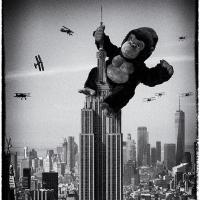 Set Subject 'Film titles' 2026: 20/20 score 'King Kong' by Richard Harrison