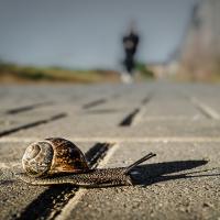 Set Subject 'From an unusual viewpoint' 2026: 20/20 score 'Crunch!' by Roger James