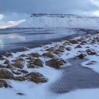 Set Subject 'Film titles' 2026: 19/20 score 'The Frozen Ground' by Patty Watkins
