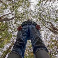 Set Subject 'From an unusual viewpoint' 2026: 20/20 score 'An ant's-eye view' by Paul Saunders
