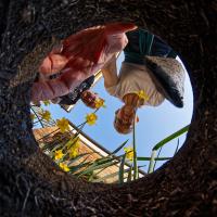 Set Subject 'From an unusual viewpoint' 2026: 20/20 score 'Doing some gardening!' by Doug Thompson
