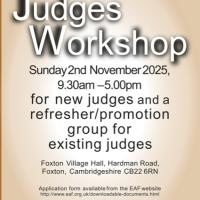 Judge's workshop poster
