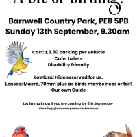 Barnwell flyer